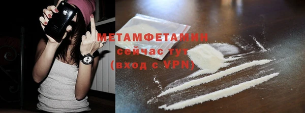 прущие грибы Верея