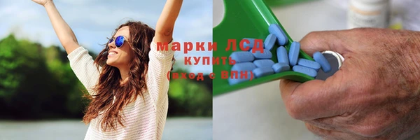 прущие грибы Верея
