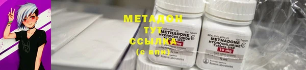 прущие грибы Верея