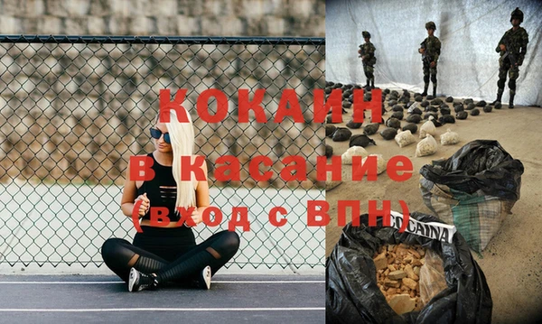 прущие грибы Верея