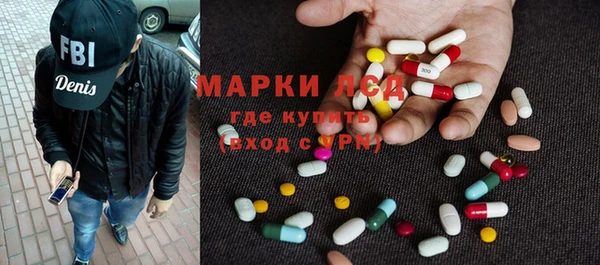прущие грибы Верея