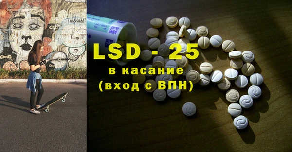 прущие грибы Верея