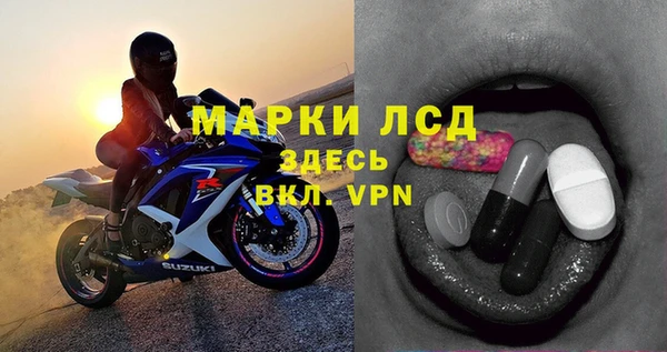 прущие грибы Верея