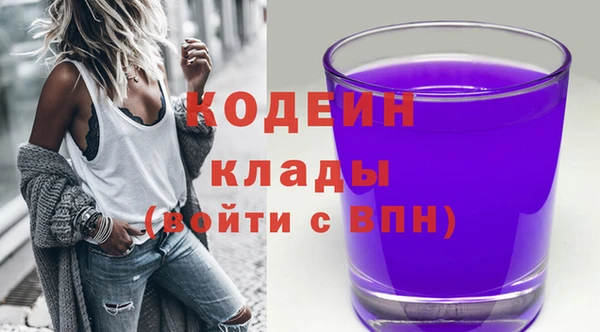 прущие грибы Верея